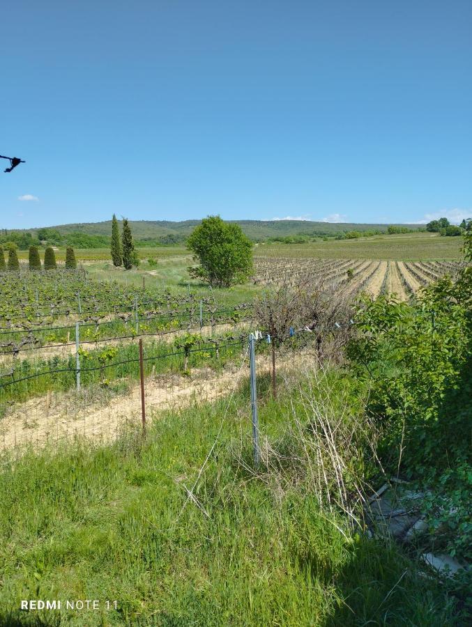 Chambre D Hotes En Provence, Au Pied Du Luberon, Les Coquelicots La Tour-dʼAigues Buitenkant foto